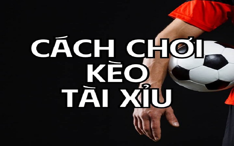 Bí Quyết Đọc & Phân Tích Kèo Tài Xỉu Chính Xác