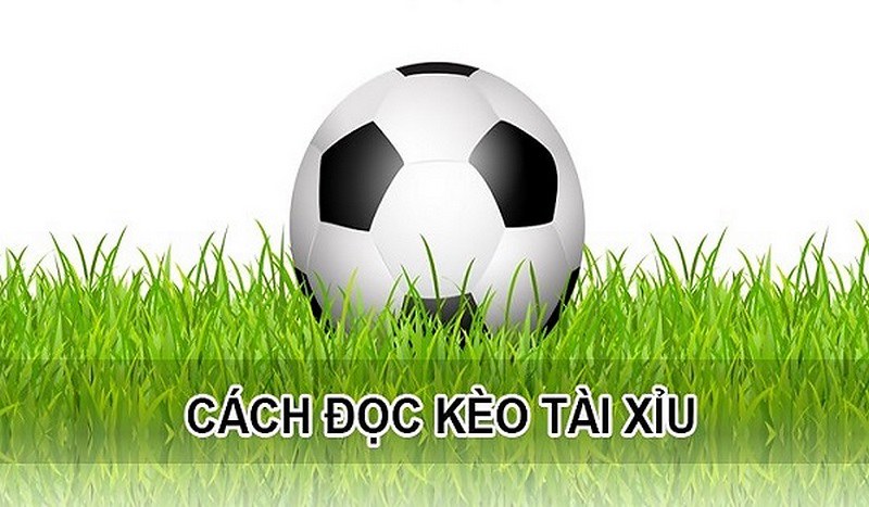 Các Mức Kèo Tài Xỉu Phổ Biến